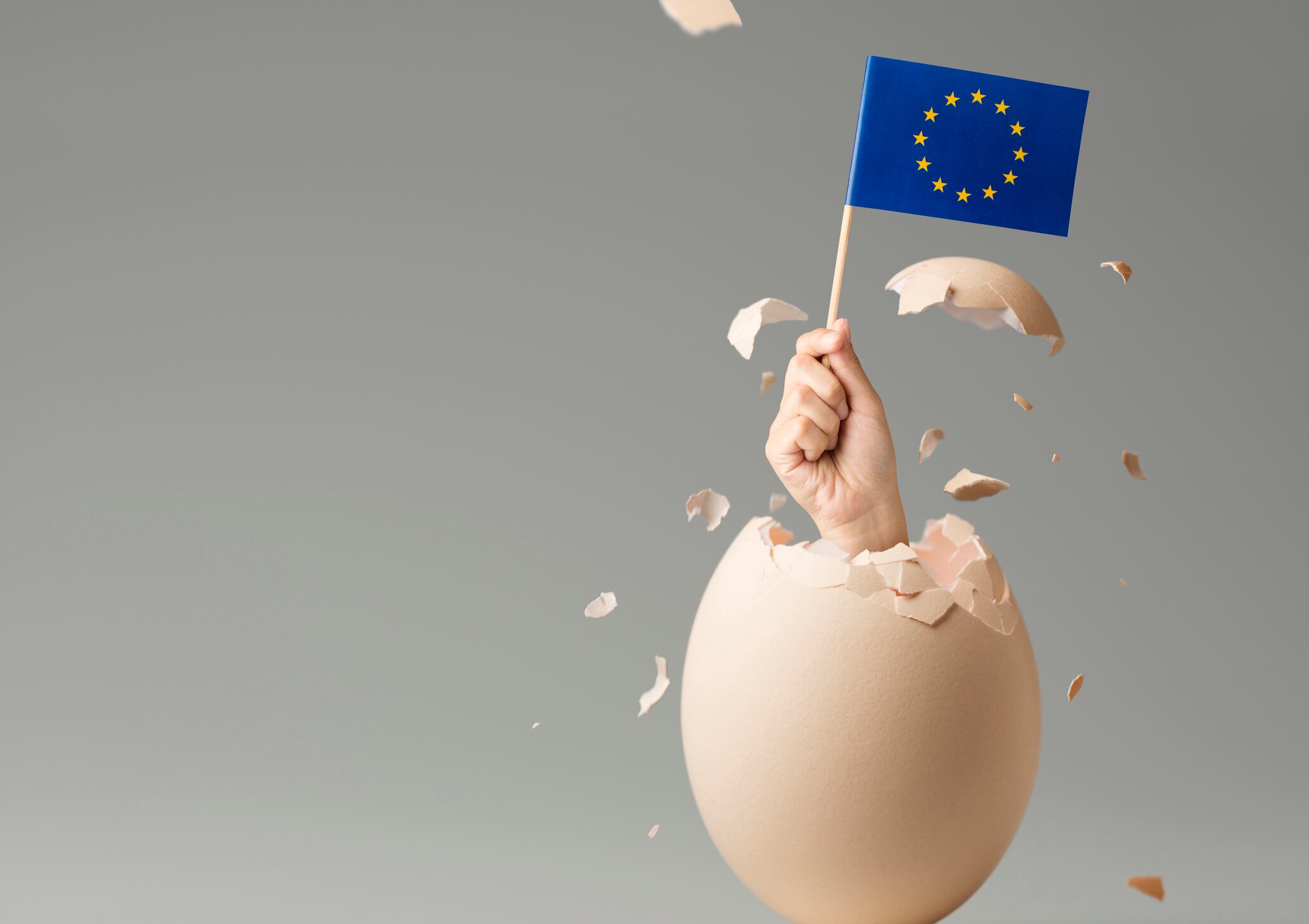 The concept is the egg come from or born in where.