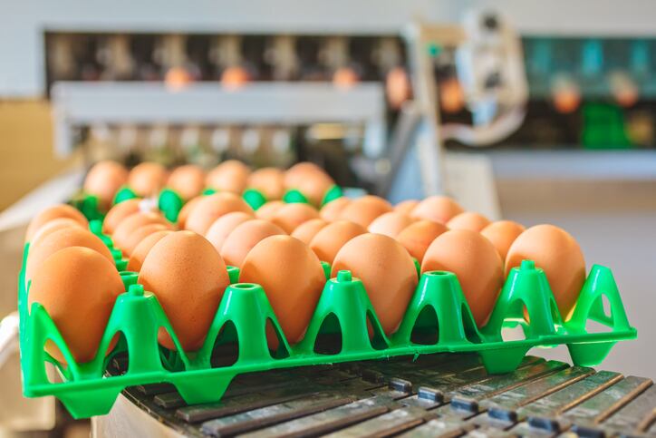 Egg-prices-soar-supplies-could-tighten-as-war-cage-free-transition-Avian-flu-take-toll.jpg