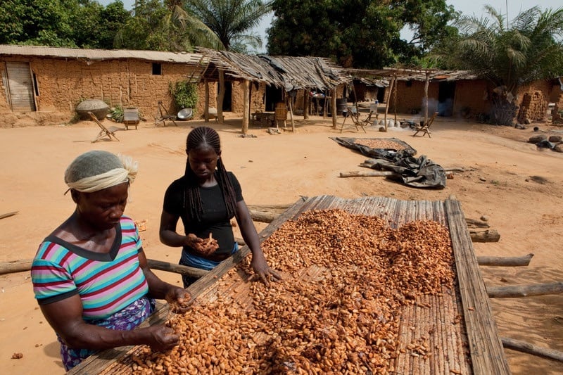 New Oxfam study shows cocoa suppliers still falling short on supply chain transparency