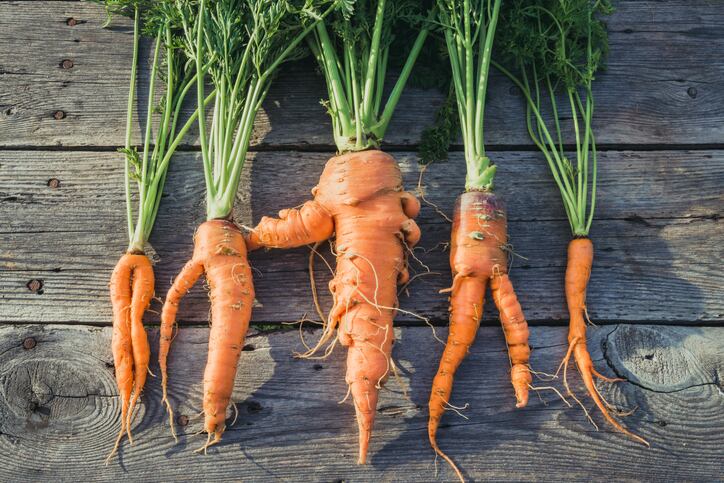 Misfits-Market-to-double-product-assortment-consolidate-private-label-brands-post-Imperfect-Foods-acquisition.jpg