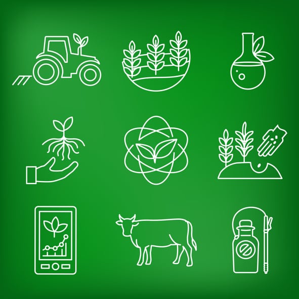 Cargill and Nestlé align to slash Purina pet food carbon footprint 