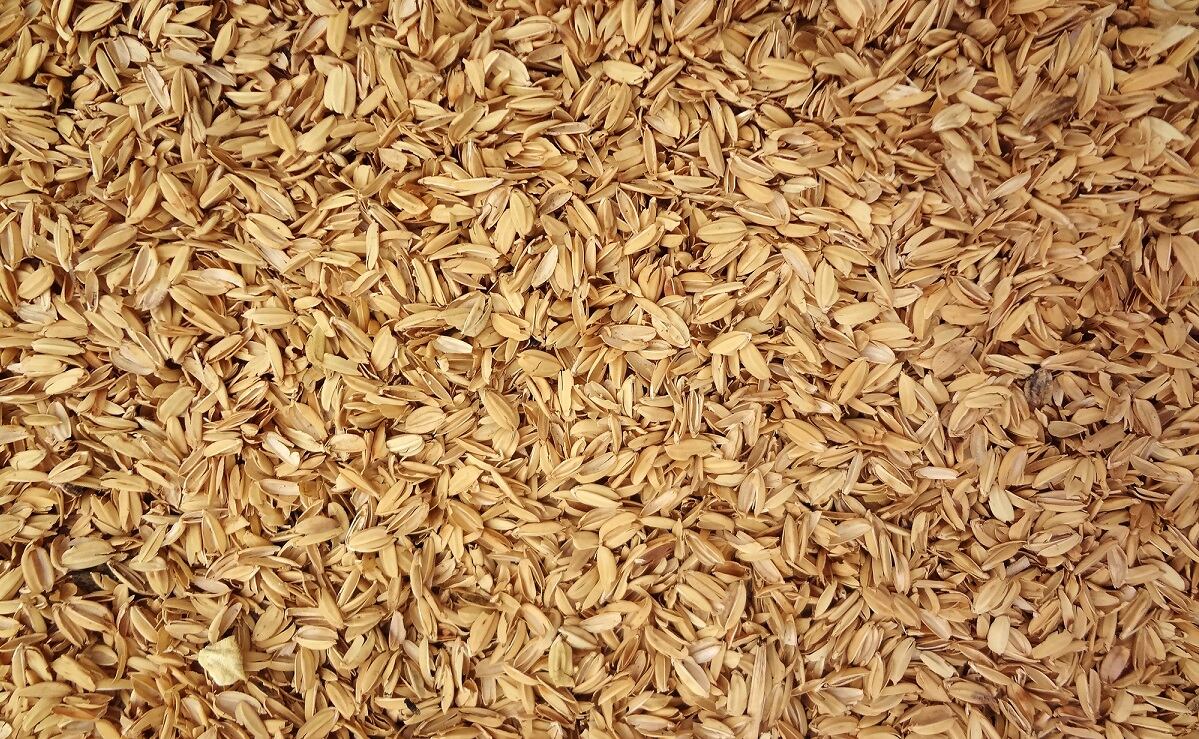 Argentinian-Researchers-Turning-Rice-Waste-into-Silica.jpg