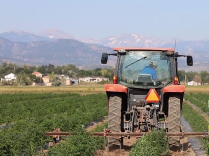 New-high-capacity-Colorado-CBD-extractor-enters-market.jpg