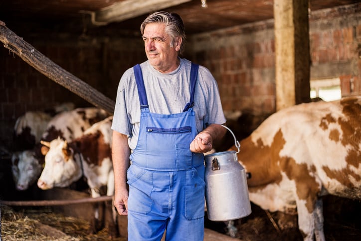 Meat is dead, long live meat: Can beef and dairy contribute to a climate fix?