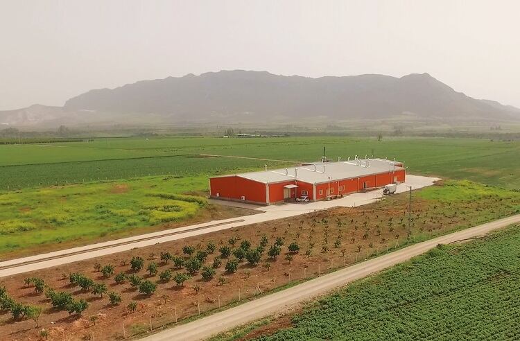 Turkish chicken producer sets up new hatchery