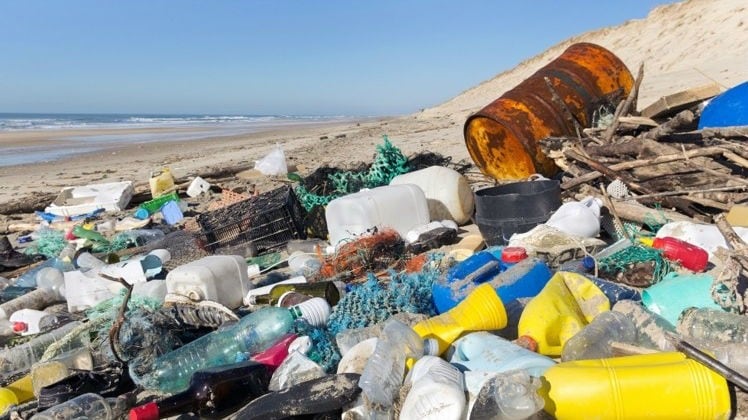 Current-plastic-and-packaging-waste-initiatives-in-South-East-Asia-cover-just-5-of-waste-FIA-study.jpg