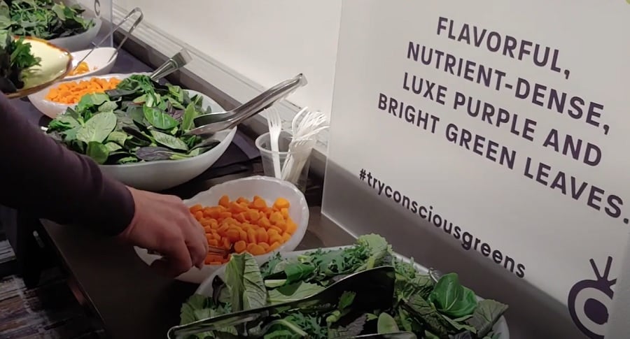 Exclusive-Pairwise-stops-marketing-gene-edited-Conscious-Greens-to-focus-on-new-high-value-gene-edited-crops.jpg