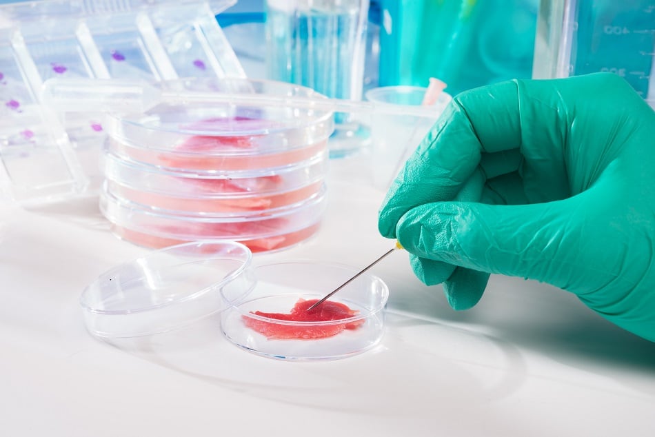 Five startups form alliance to provide clear path to market for cell-based meat