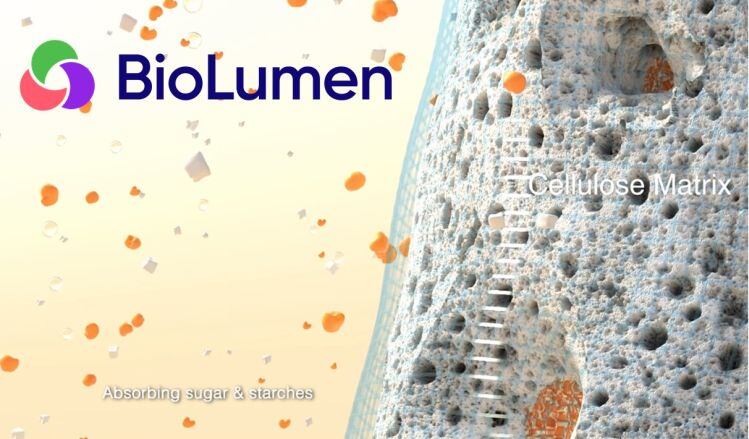 PepsiCo Greenhouse accelerator startup BioLumen teams up with Dr Robert Lustig on ‘super-expanding fiber’ that partially blocks fat, sugar absorption