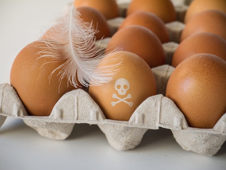 Children at risk as ‘forever chemicals’ PFAS identified in organic eggs