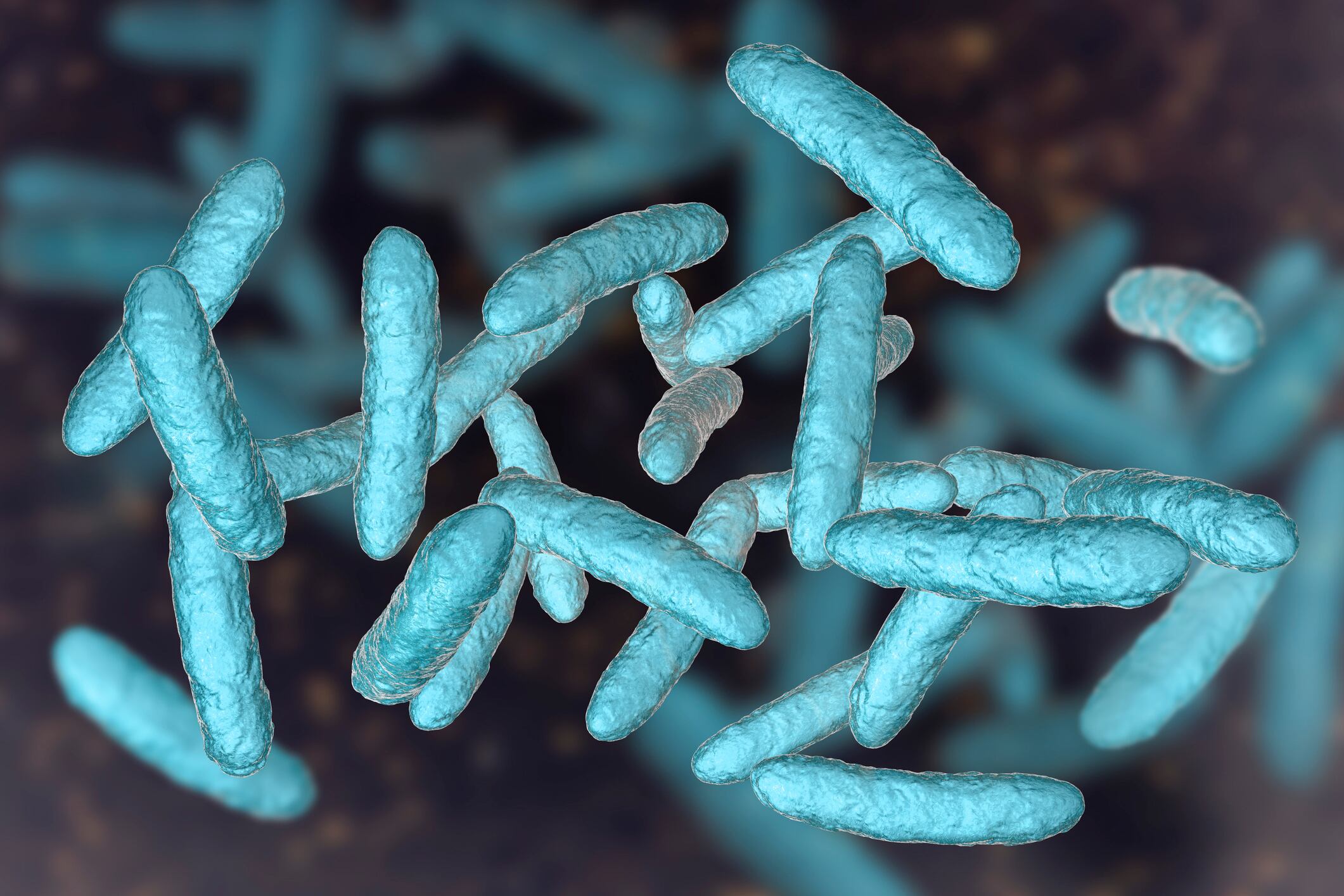 Danone N.A. accepting applications for Gut Microbiome, Yogurt and Probiotics Fellowship Grant