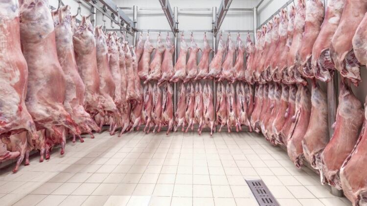 Belgium puts an end to ‘unauthorised slaughtering’