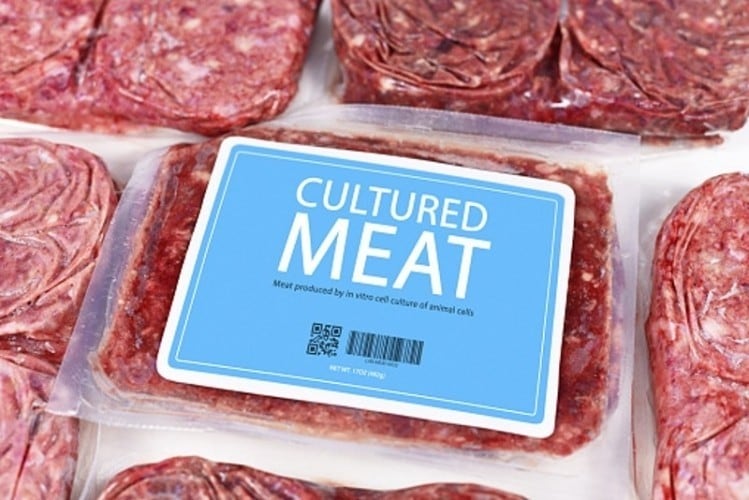 Beneficial 'side effect': Long regulatory road for cultivated products will boost consumer confidence – Upside Foods