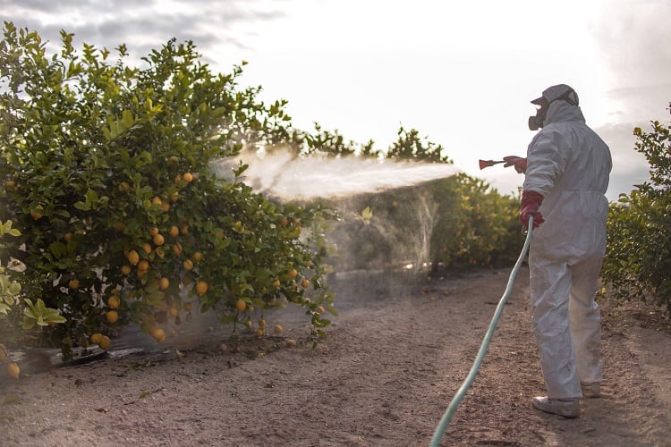 Pesticides-fruit-GettyImages-Worledit.jpg