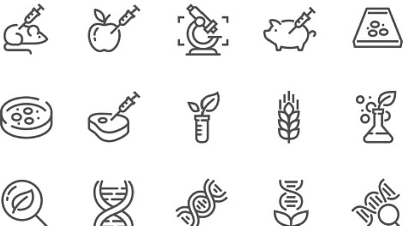 Stupid-and-ideological-New-Zealand-industry-rejects-anti-GMO-group-suggestion-to-establish-new-food-standards-authority.jpg