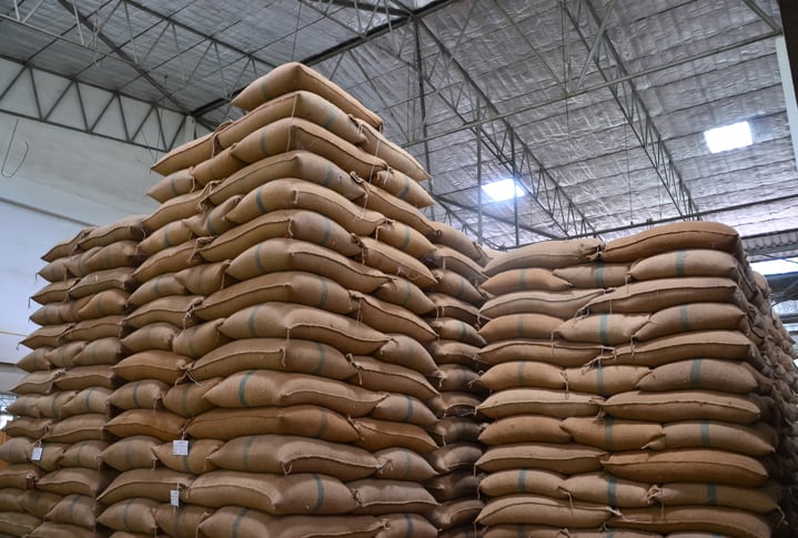 COVID-19 in Qatar: Government says sufficient food and consumer goods for one year