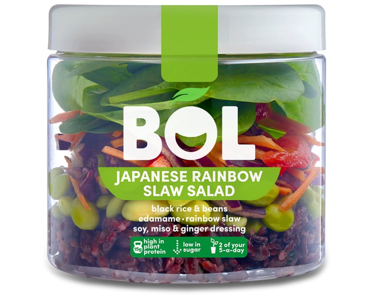 japanese-rainbow-slaw-salad.png