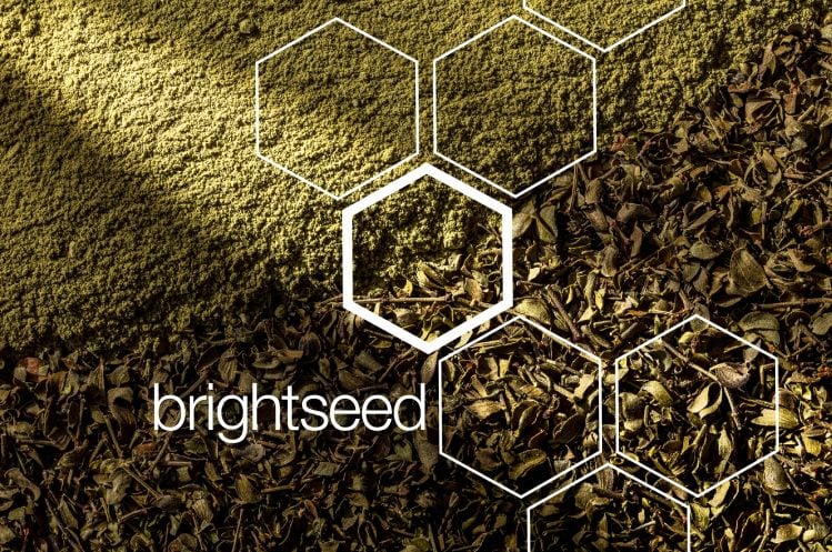 Brightseed-Chaparral-Leaf.jpg
