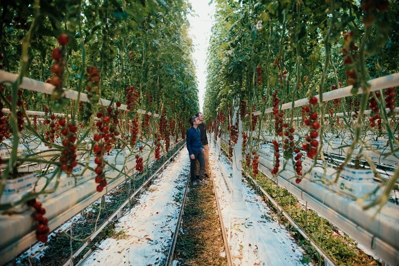 More-funds-for-the-start-up-promising-AI-superpowers-for-crop-growers.jpg