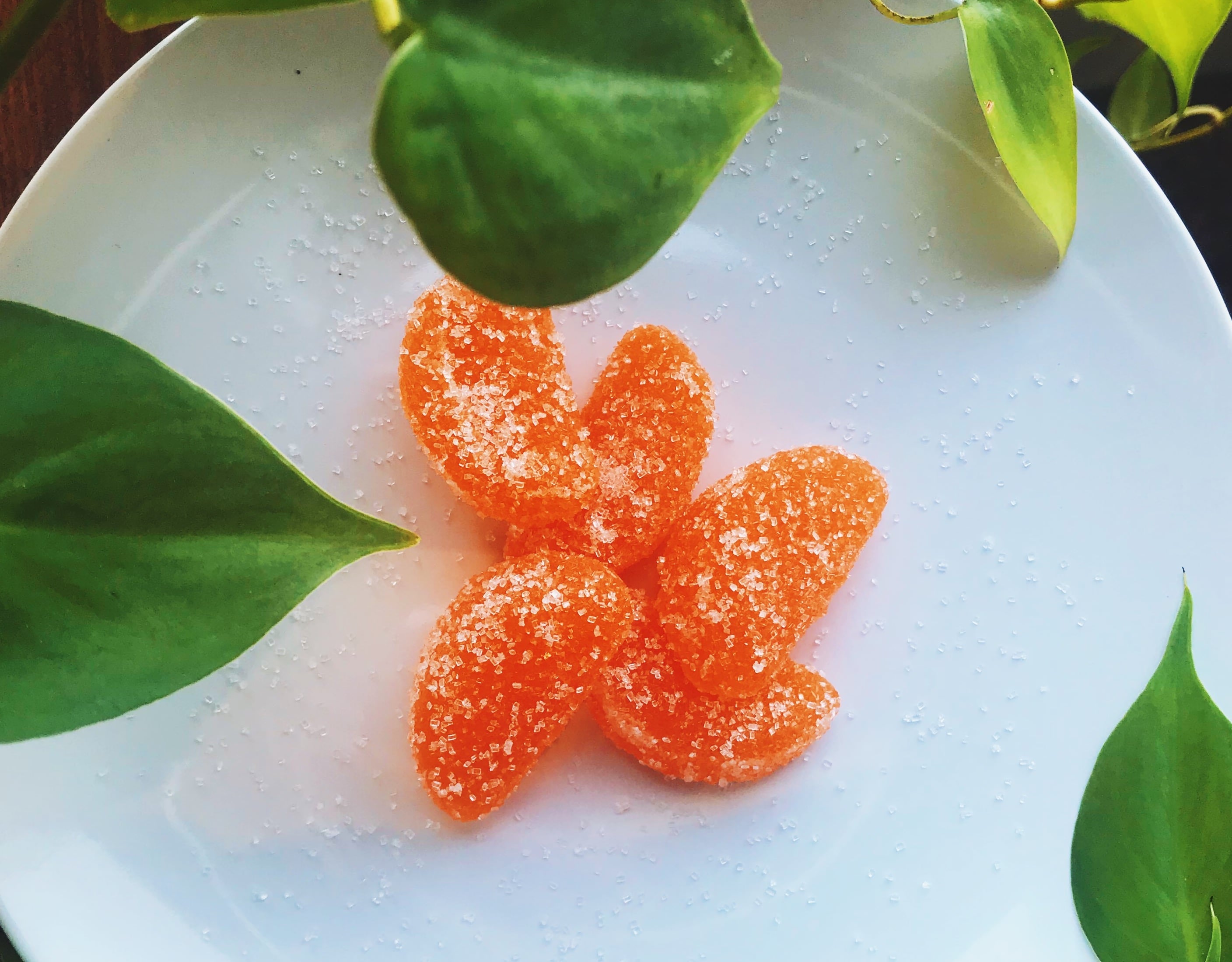 PURIS-to-debut-pea-based-alternative-to-gelatin-for-gummies.jpg