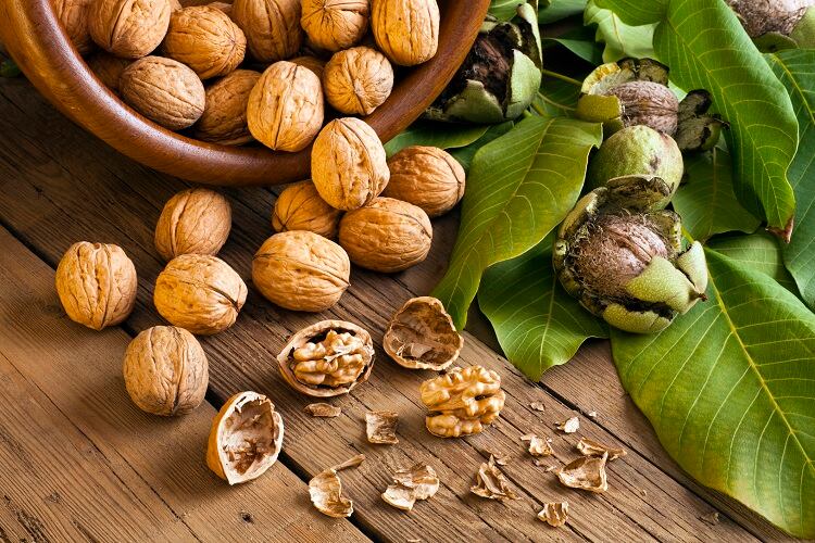 Walnuts-GettyImages-syolacan.jpg