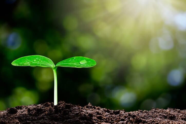 Latin-America-s-food-system-needs-biological-transformation-says-expert.jpg
