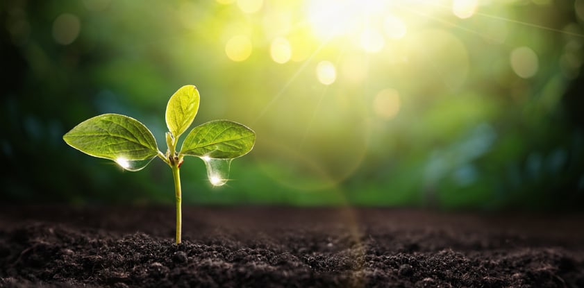 Fertiliser made from urine could enable space agriculture: study