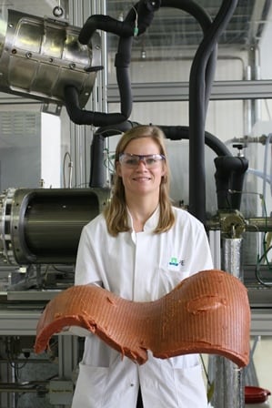 Plantaardige-Biefstuk-Wageningen-small.jpg