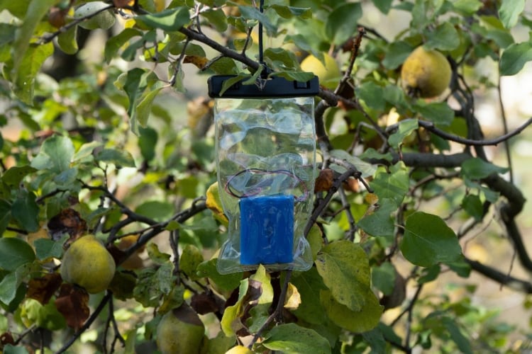 WWF collaboration to monitor biodiversity in Italian organic and conventional agri-systems