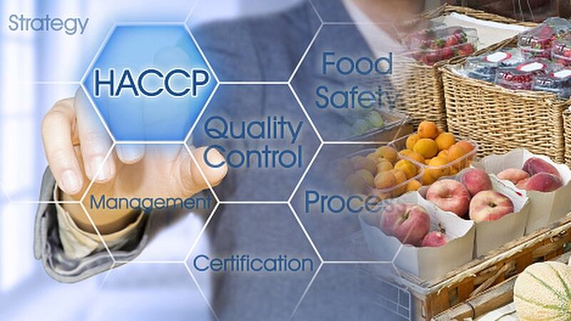 Japan-establishes-first-physical-facility-to-find-fake-food-exports-in-Thailand.jpg
