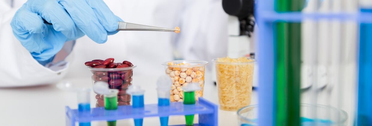 corn subject to selection in the microbiology laboratory
