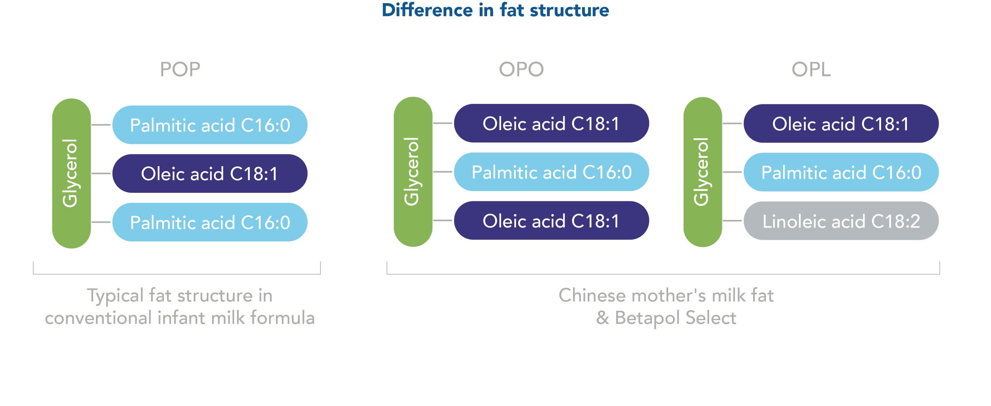 BLC-FatStructure-Graph-New.jpg