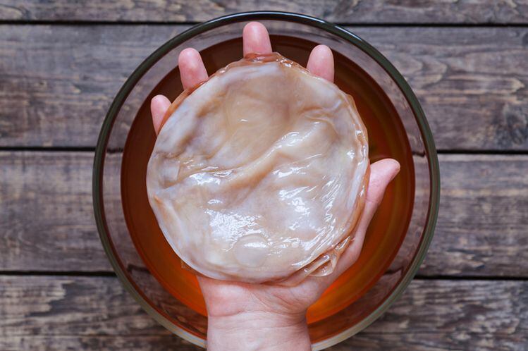 Today-s-outdated-federal-tax-rules-still-treat-some-kombucha-as-beer-KOMBUCHA-Act-to-be-reintroduced-in-Congress.jpg
