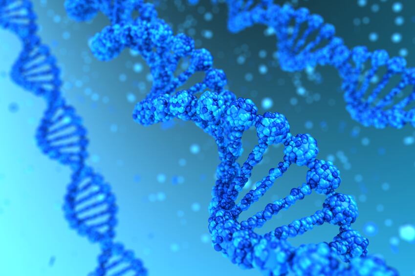 DNA-microbiome.jpg