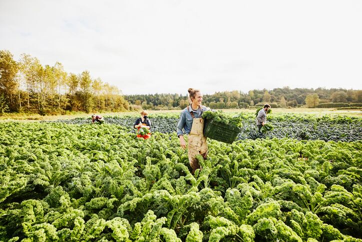 What is driving consumer interest in regenerative agriculture?