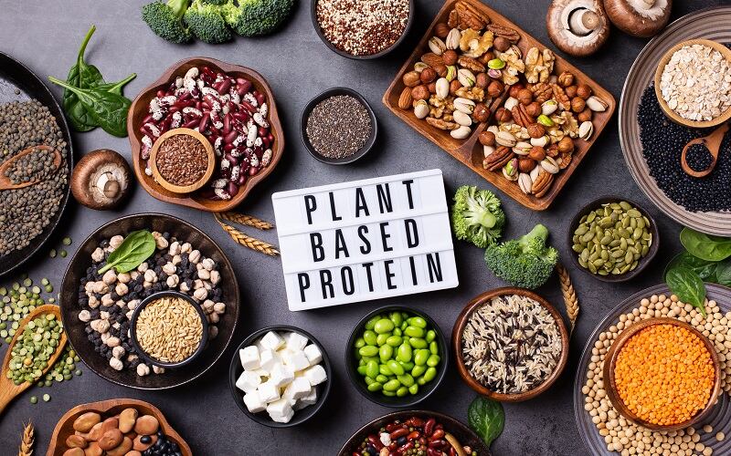 Bridge2Food-Summit-Americas-to-explore-changing-plant-based-protein-landscape.jpg