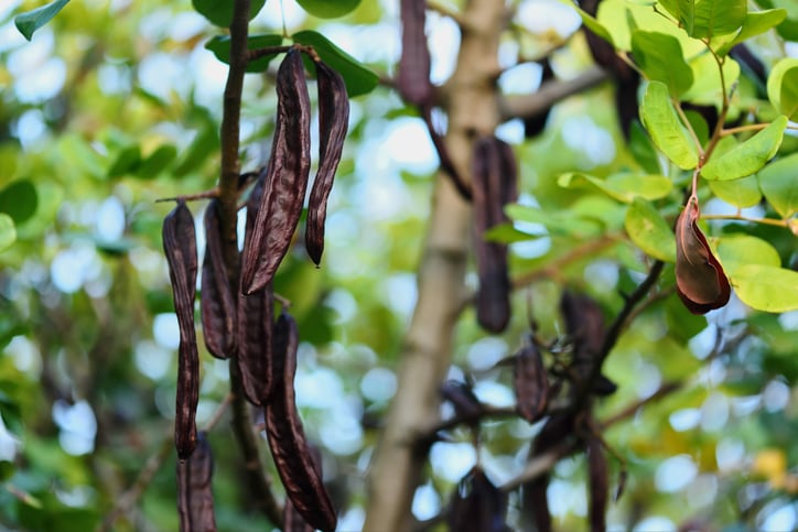 Rising commodity prices: the next NPD challenge for industry?