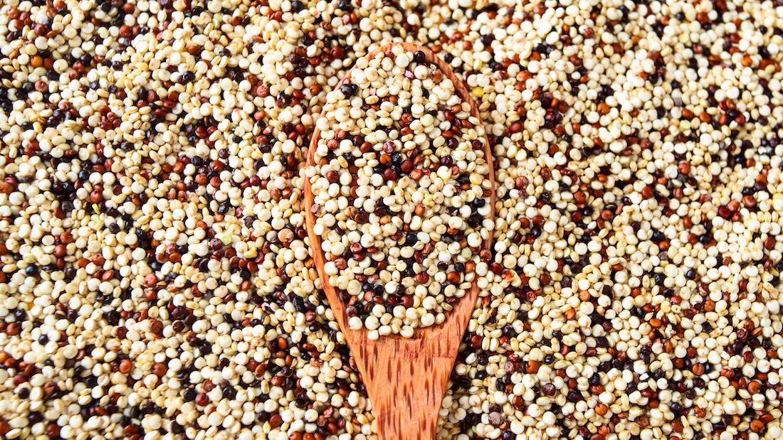 Sorghum-in-focus-The-goal-is-to-increase-the-use-of-sorghum-in-the-US-food-supply-says-Sorghum-Checkoff-Council.jpg