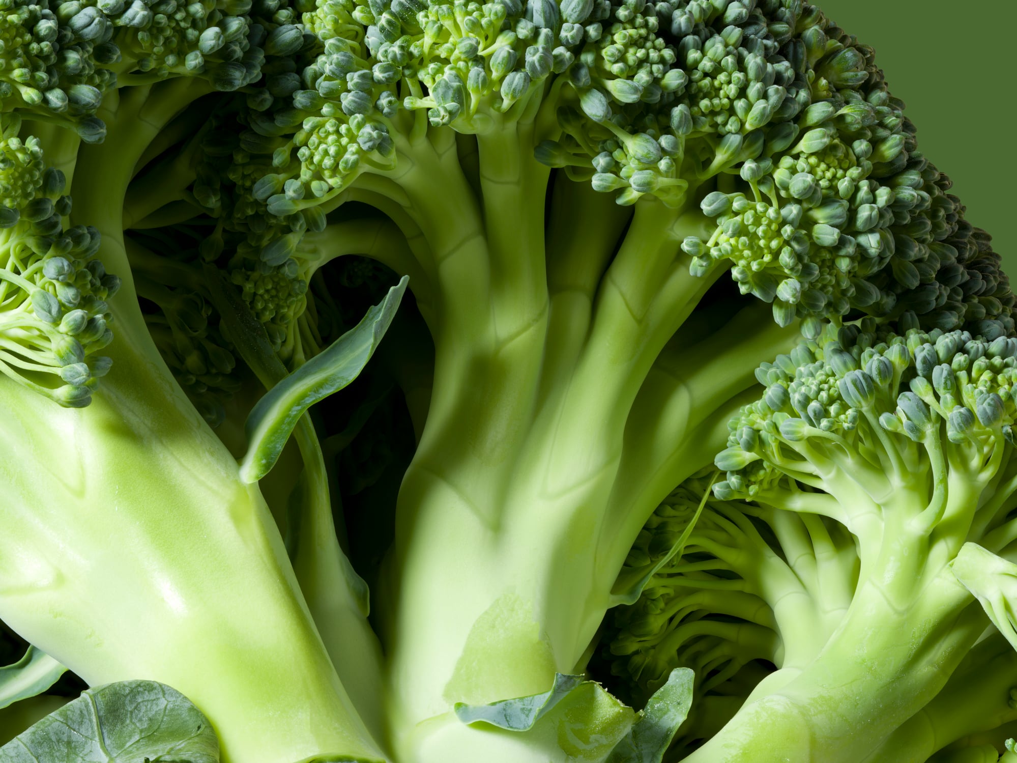 Broccoli