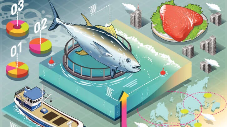 A traceable seafood industry requires a globalized effort for standardized data collection