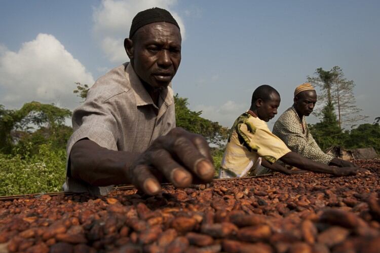 Fairtrade secures €15m from Europe in COVID-19 relief and recovery funds for its producers