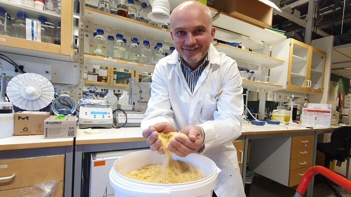 Scientists-unveil-new-method-that-extracts-antioxidant-nutrients-from-corn-processing-waste.jpg
