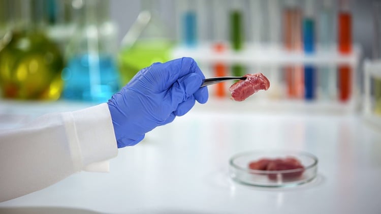 Profuse-Technology-Cultivated-meat-media-supplement-achieves-breakthrough-for-muscle-maturation-in-3D-format.jpg