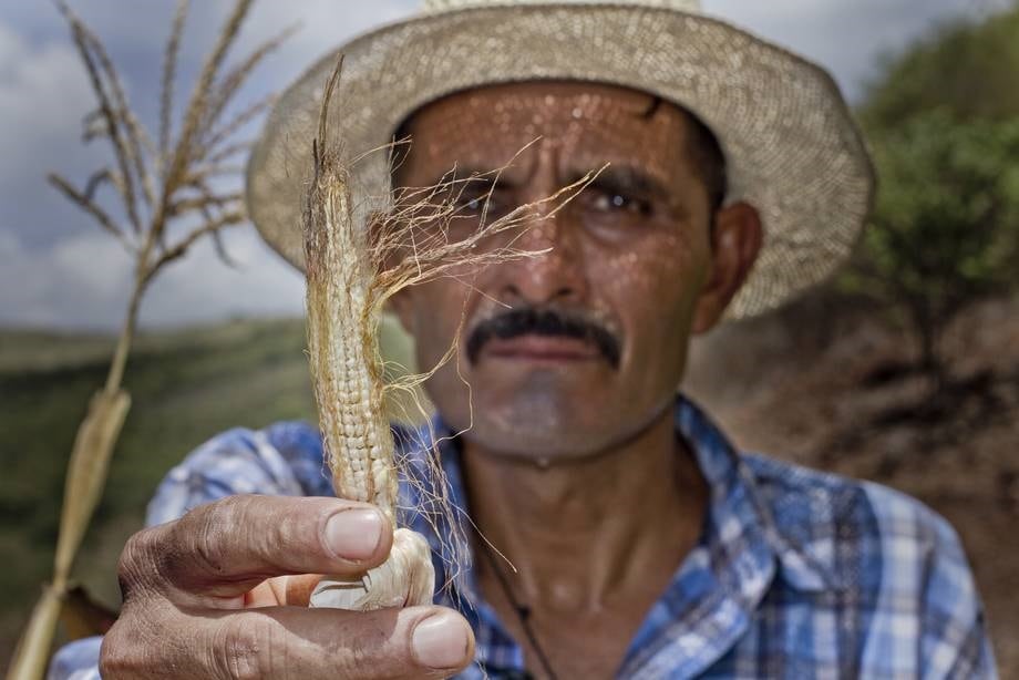 FAO-LATAM-Malnutrition-rural-poverty-and-climate-change-the-most-important-issues-for-2019.jpg