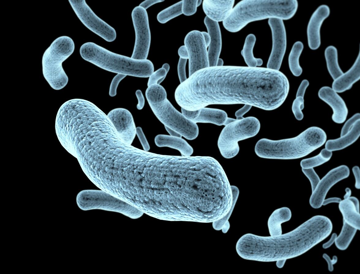 microorganism-airborne_Jezperklauzen.jpg