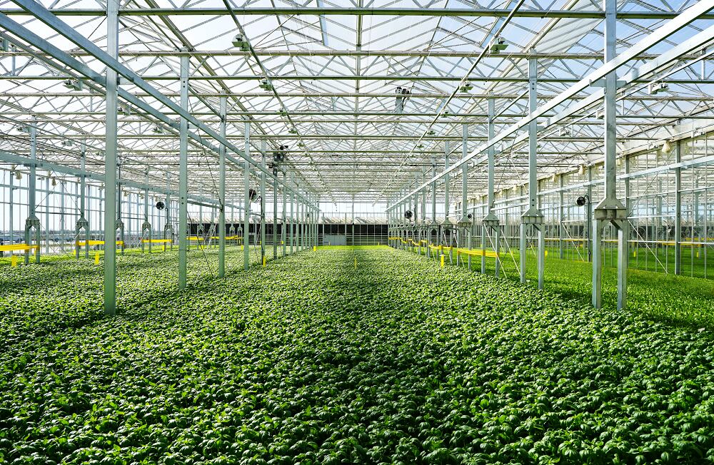 Gotham-Greens-doubles-greenhouse-footprint-capturing-under-penetrated-market-opportunity-for-indoor-farming-companies.png