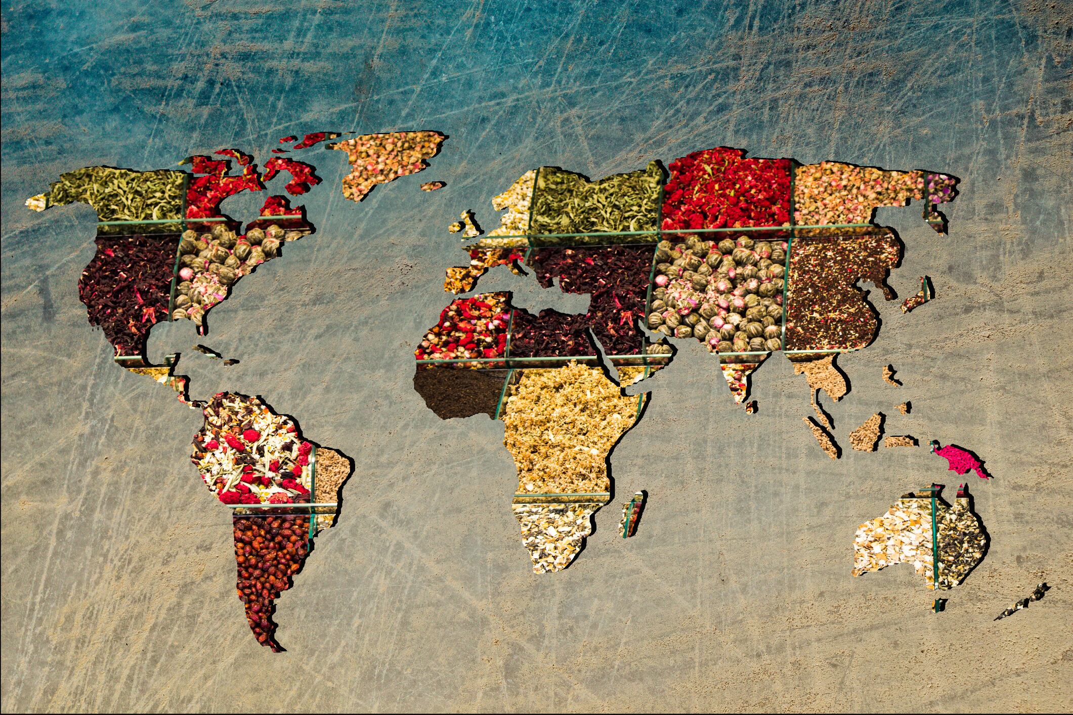 Map of the world made with different ingredients