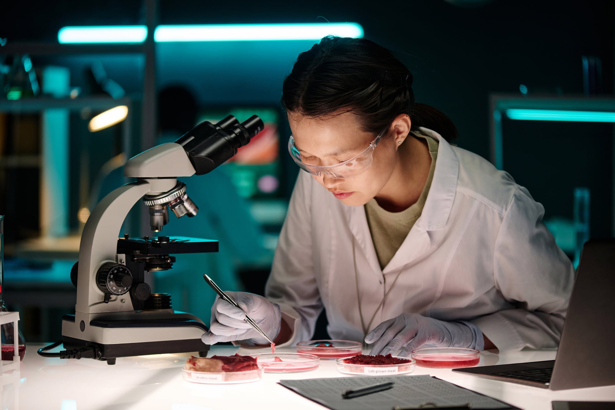 Laboratory assistant comparing different kinds of meat in petri dishes sitting at her workplace