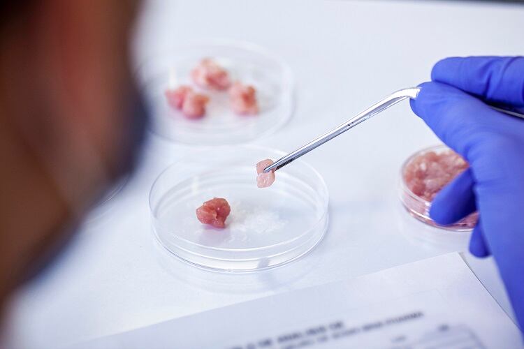 Cultivated-meat-could-emit-25-times-more-CO2e-than-conventional-beef-finds-research.jpg