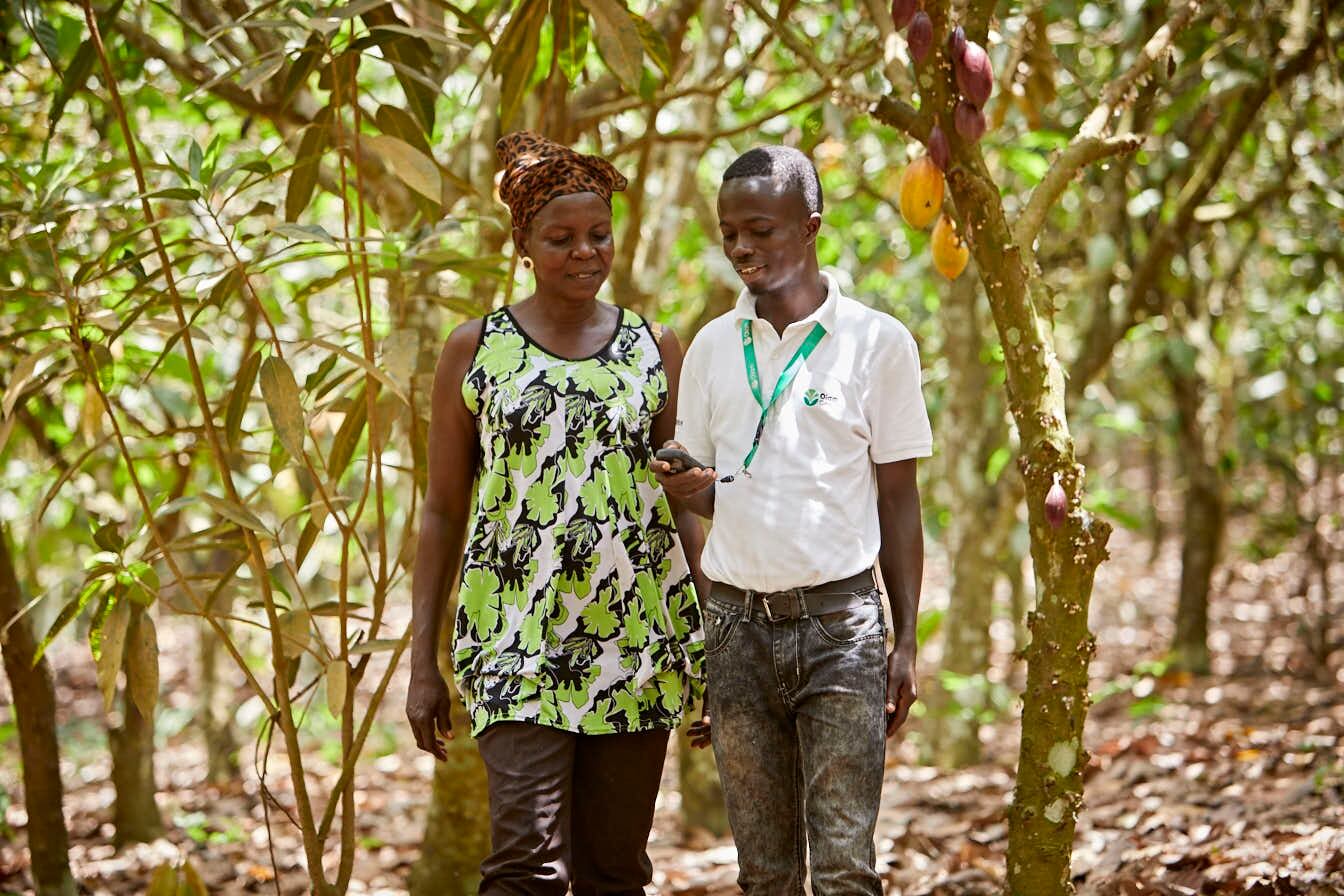 Olam-Cocoa-Ghana-OFIS-Cocoa-Farm-GPS-Mapping.jpg